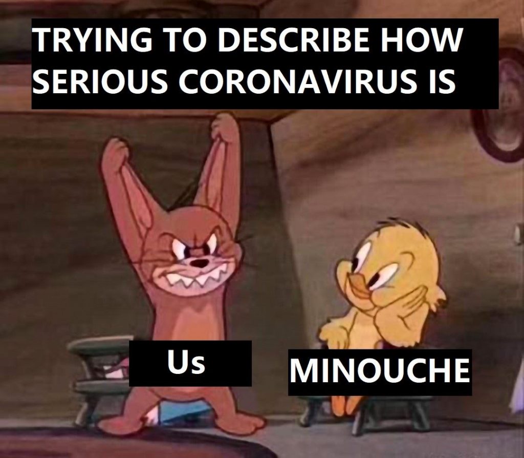 Image may contain: meme, possible text that says 'TRYING TO DESCRIBE HOW SERIOUS CORONAVIRUS IS Us MINOUCHE'