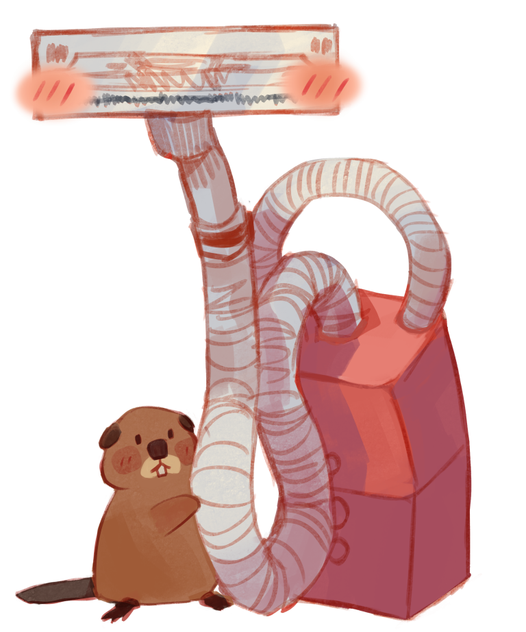 beaver with vaccumm