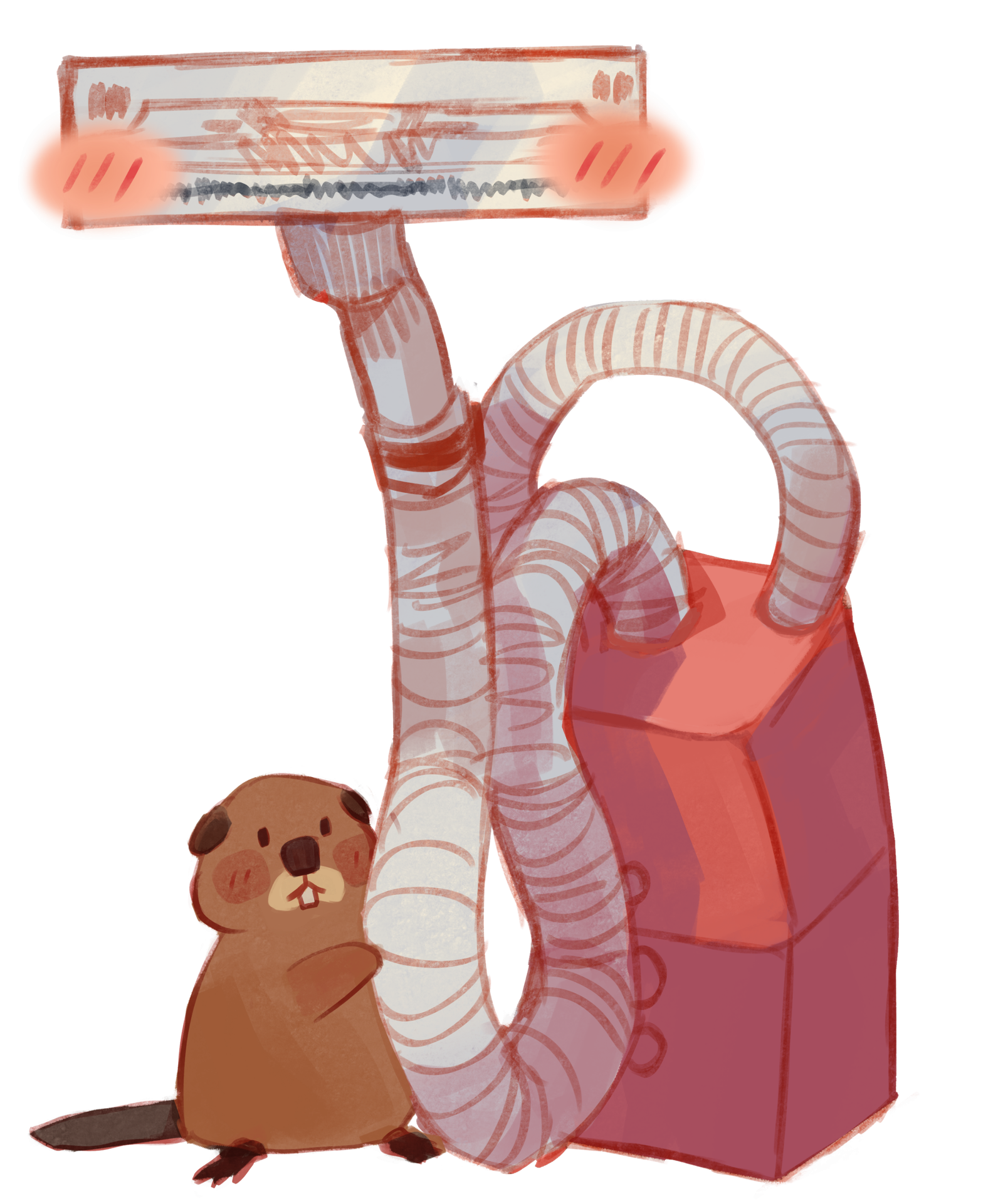 beaver with vaccumm